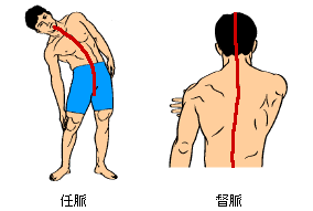 図1-10　任脈・督脈と動きの負荷