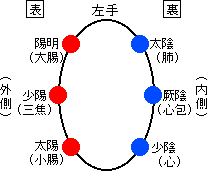 図2-5　肘における経絡分布