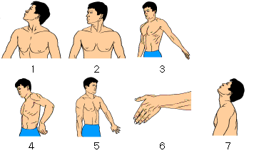 図2-16　上肢橈側（外側）・頭頚部前面・前胸部に対する負荷法