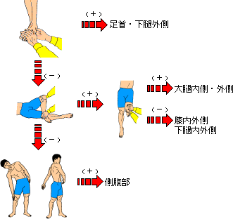 図3-6　下肢内外側・躯幹側面の動きに制限のある症例